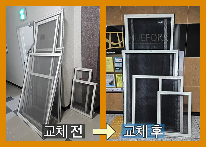 교체 전후