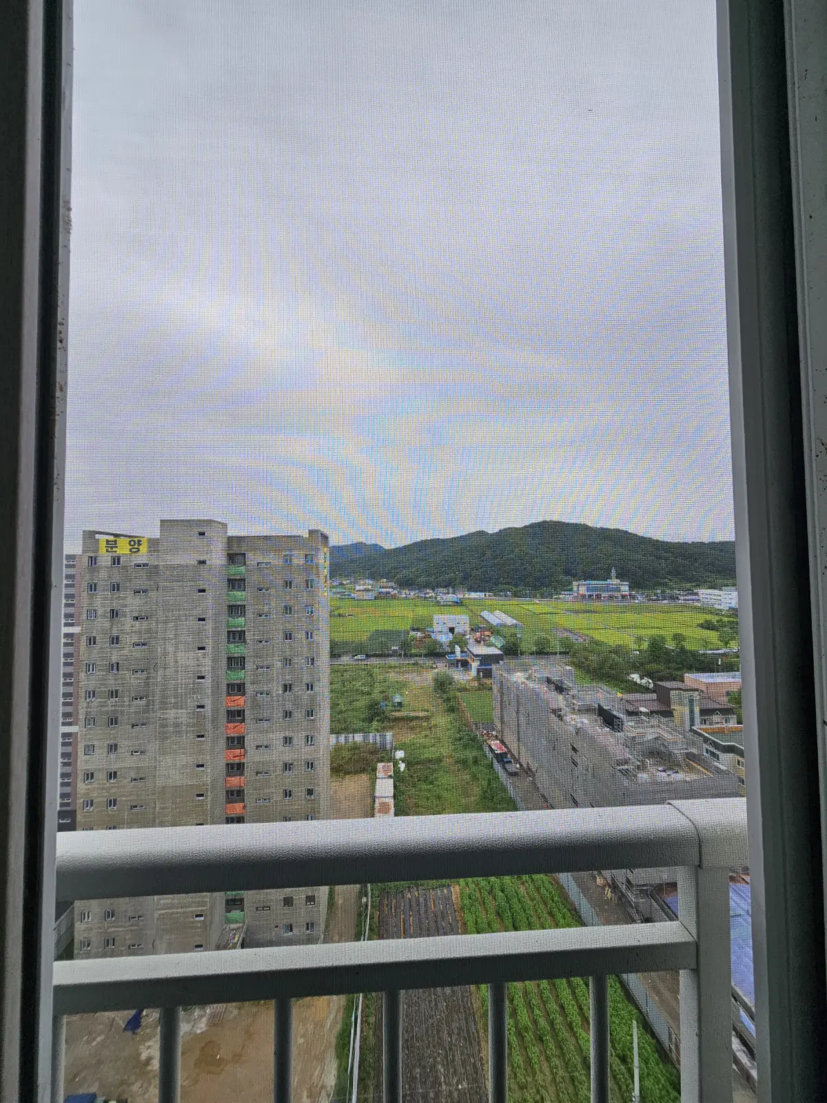 블랙스텐망
