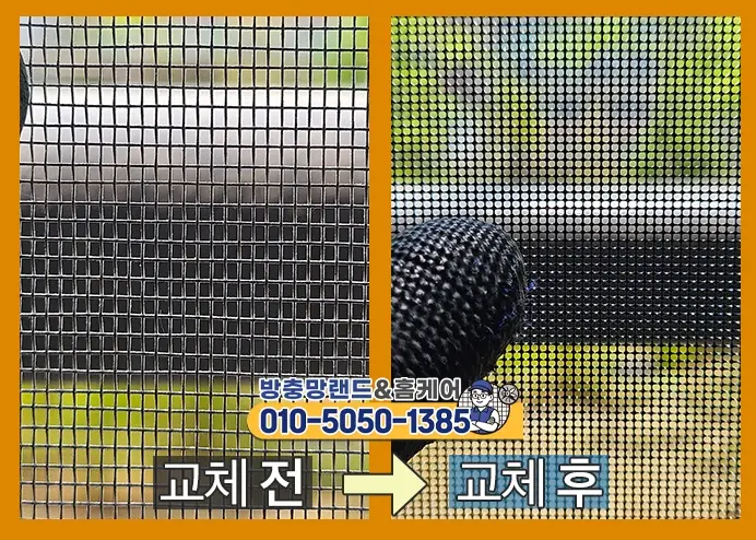 교체 전후