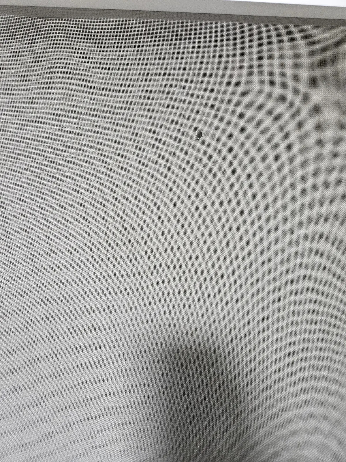 기존망상태