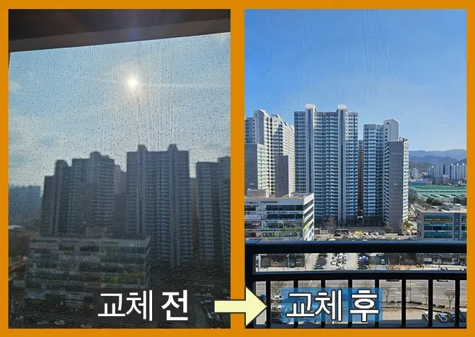 교체전후 시야