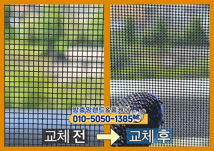 교체전후